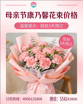 新乡花店母亲节康乃馨花束