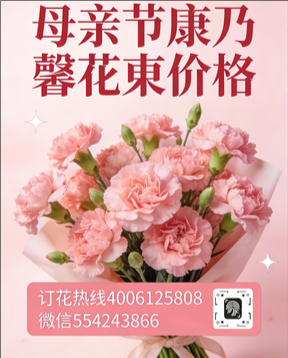 新乡花店母亲节康乃馨花束